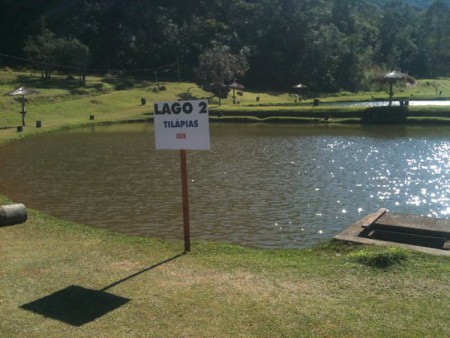 Lago 2