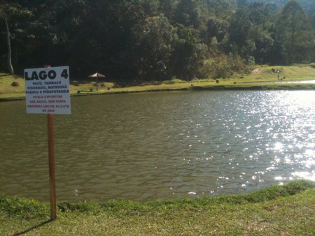 Lago 4